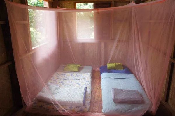 Shared Room at the Elephant Sanctuary