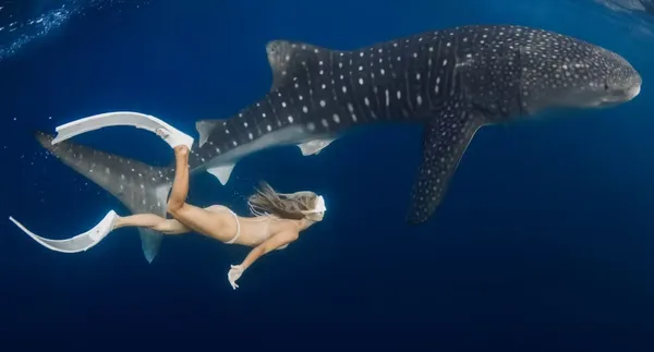 Kenapa anda tidak sepatutnya buat lawatan Pulau Komodo dari Lombok