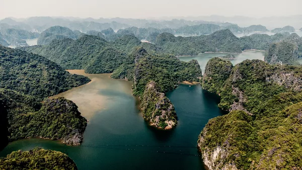 Half-day Jungle Trek & Kayak Adventure in Cat Ba