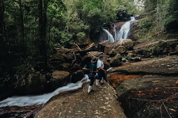 Hiking in Sinharaja Forest