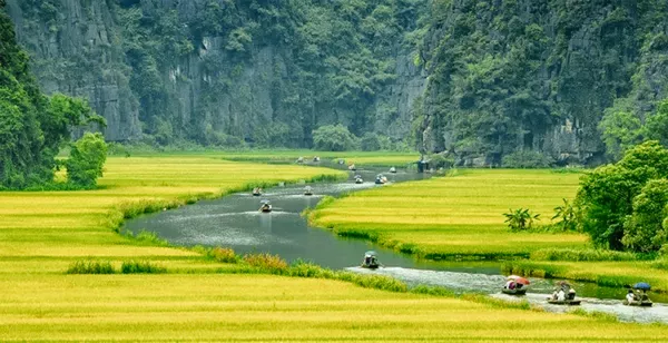 1 Day Hoa Lu & Tam Coc trip **Cycle along country roads