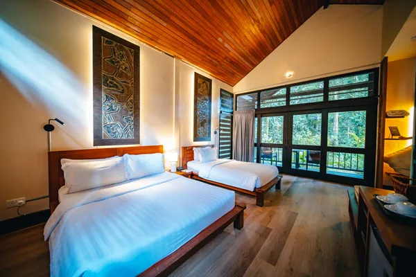 Borneo Rainforest Lodge twin bedroom in Danum Valley with two beds, wood-panel ceiling, and wide windows looking into the forest