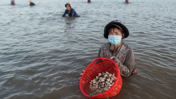 Beaches and local clam farms