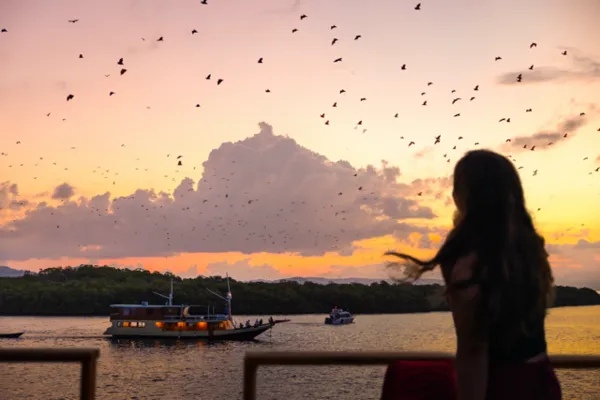 Silhouetted traveller watching flying bats over the bay at sunset during a Kalong Sunset day trip, Labuan Bajo
