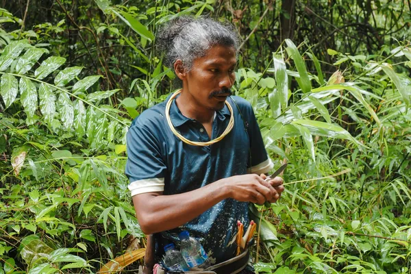 Explore Khao Sok National Park with Real-Life Tarzan
