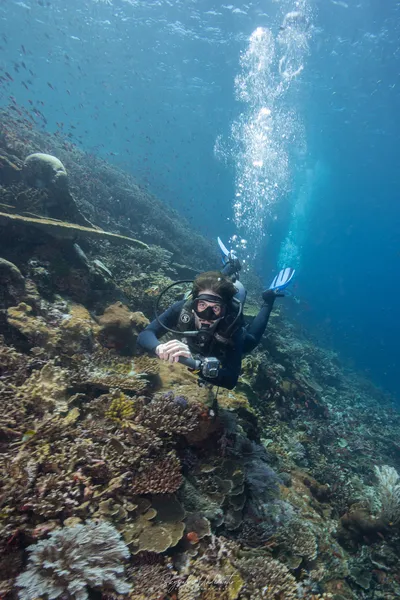 Scuba diver swimming over coral during Archipelago Reserve’s 4D3N Komodo dive liveaboard off Labuan Bajo, Komodo Island