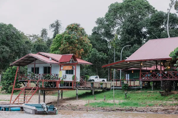 3D2N Kinabatangan River Safari with Night Cruise & Jungle Trek