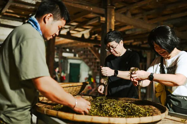 Pemandu wisata dan para pelancong mengolah daun teh segar di bengkel pedesaan di Xishuangbanna dalam perjalanan sehari pribadi