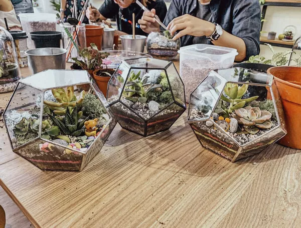 Terrarium Workshops in Singapore