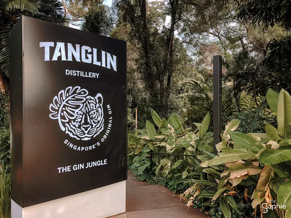 Gin Tasting in a Secret Jungle Distillery