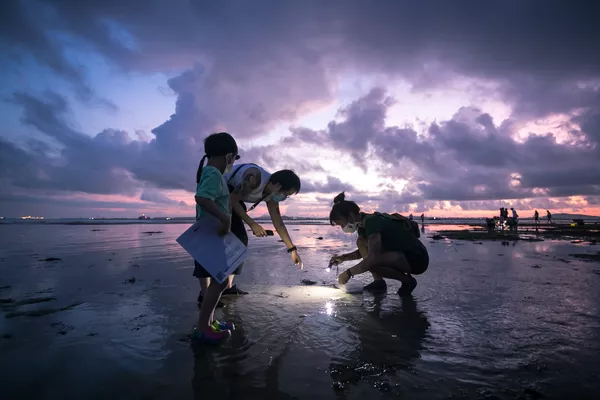 Singapore's Hidden Marine World | Sentosa Intertidal Exploration (Any Age)