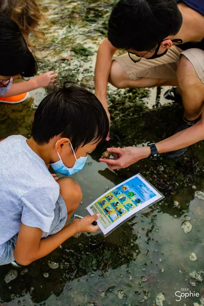 Marine Scientist Day Camp (4-hr) | Intertidal