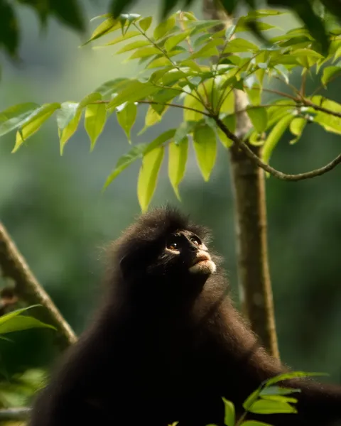 Eksklusif SG: Singapura yang Lebih Berani