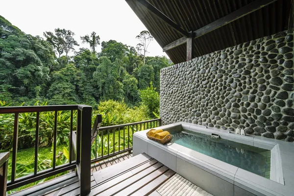 Luxury private stone-lined plunge pool on a deck overlooking rainforest at Borneo Rainforest Lodge, Danum Valley