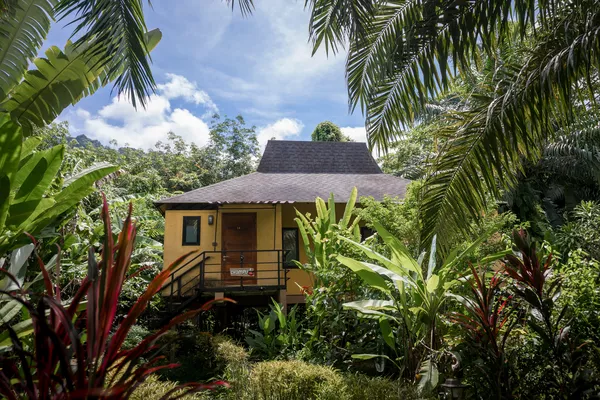 Wooden eco-lodge bungalow tucked among palms and dense jungle foliage at Anurak Lodge in Khao Sok National Park