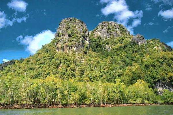 Kilim Geoforest karst cliffs and mangrove shoreline on Langkawi, with green treetops and a blue sky