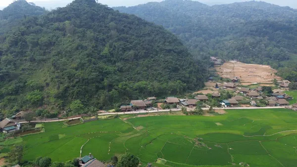 Homestay
