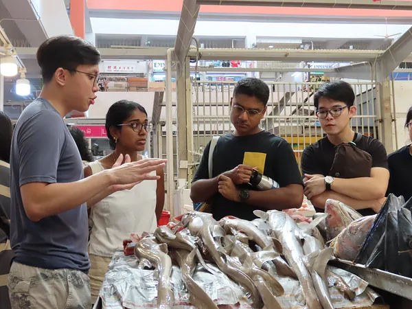 Learn to pick fish like a local