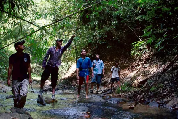 People trekking along a shallow jungle stream on a guided walk in Khao Sok Riverside Cottages, Khao Sok National Park