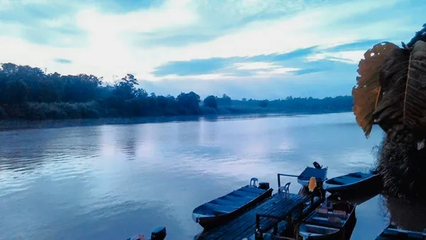 Tempat terbaik untuk melihat hidupan liar di Asia bukan taman negara. Ia sebuah sungai yang dikelilingi ladang kelapa sawit.