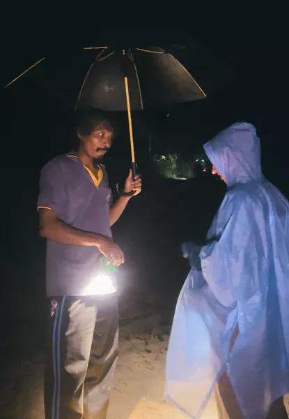 Experience a Jungle Night Adventure with Khao Sok’s Expert Guide