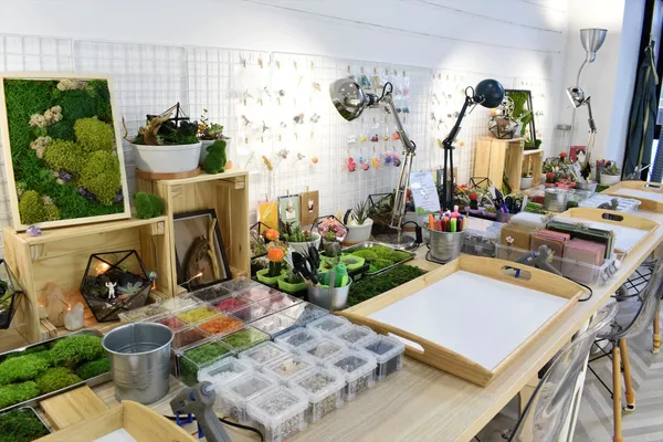 Design Your Own Moss Frame *Unlimited Materials!
