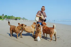 Bali Conservation Adventures volunteer with rescued dogs on Bali’s sandy beach, walking them near the shoreline