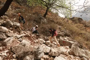 Several hikers cross a steep rocky hillside on the Tiger Leaping Gorge high trail in Lijiang, with sparse trees along the track