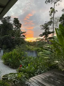 Sunset over lush tropical gardens with banana leaves and trees outside a wooden deck at Kebun Lidstari permaculture farmstay in Langkawi