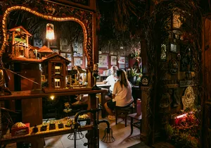Ruang dalaman yang hangat dengan rak hiasan dan tumbuhan di sisi kaunter, untuk kisah apartmen sewa Hidden Heritage dan permata tersembunyi Singapura