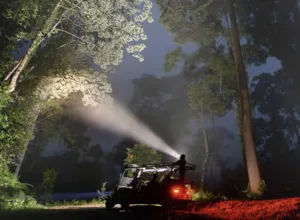 Night safari vehicle with headlamp cruising along a jungle road through Danum Valley rainforest in Sabah, Malaysia