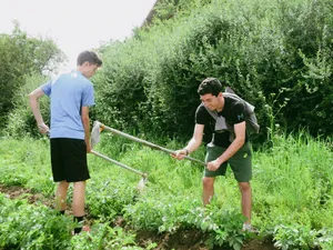 Two visitors help tend a green garden with tools at a Shangri-La family homestay, working carefully in the beds