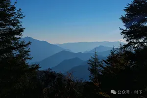 Misty mountain ridgelines across Shangri-La seen between pine trees, a calm view before a hike at sunset
