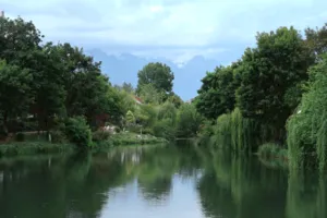 Calm green river in Lijiang framed by weeping trees and garden paths, with distant mountains under a pale blue sky