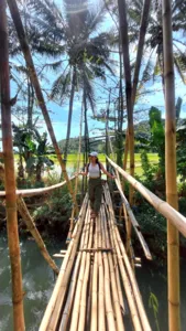 Laluan buluh di atas aliran paya bakau di Labuan Bajo, dengan seorang pengembara meneroka dari dek, dikelilingi pokok palma yang tinggi
