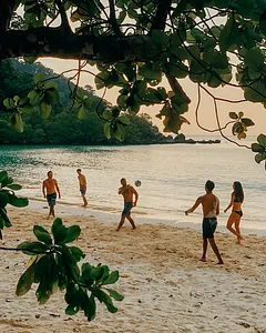 People strolling on a sandy Surin Island beach at Khao Lak, framed by leafy branches, as they head toward the water