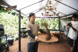 Hands-on coffee roasting in Singapore as roasted beans are scooped from a basket for guests to sample — workshops in Singapore