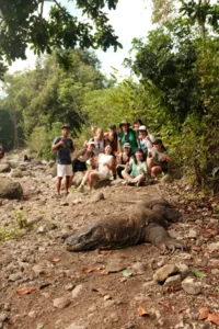Group watching a Komodo dragon on a rocky path on Rinca Island during a Komodo day trip from Labuan Bajo — Komodo dragons