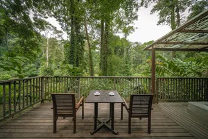 Outdoor deck at Borneo Rainforest Lodge in Danum Valley, with a dining table and chairs overlooking the rainforest