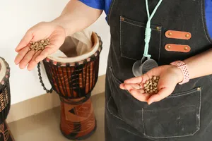 Hands sampling roasted coffee beans at the Seeker Yunnan Coffee Estate, a family-run specialty coffee workshop in Lijiang