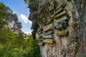 Cliffside walkway with hanging signboards above the jungle in Danum Valley, near Borneo Rainforest Lodge