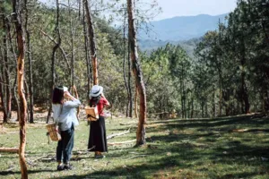 Para tamu berjalan santai di antara pepohonan tinggi di retret ramah lingkungan Linden Centre di Dali, pedesaan Yunnan, dengan pegunungan di kejauhan