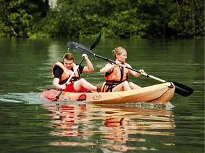 Kayakers with orange life jackets paddling across calm water in Langkawi, on an island-sightseeing eco experience