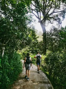 Wisatawan mendaki di jalur batu melewati hutan rimbun di Xishuangbanna, dipandu dalam perjalanan sehari privat