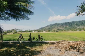Bicycles roll through a sunny Langkawi countryside field on Bicycle Day Langkawi, with palm trees and forested hills ahead