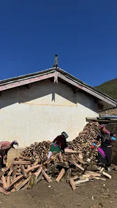 People in colourful traditional clothing stand by a rural house and stacked firewood in a Lijiang Yi & Naxi village