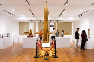 Rare agarwood display with visitors viewing tall resin specimens inside a gallery room in Hanoi during the tour