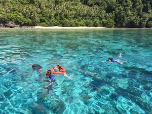 Snorkelling in clear shallow water off Semporna near a forested shoreline during a Bohey Dulang & Islands trip with Bigfin Divers