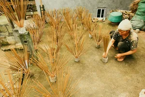 Courtyard craft scene with a local woman sorting bundles of dried straw in neat rows, on a route guided by Ha Giang Expeditions