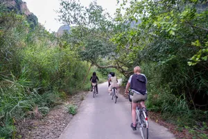 Group cycling along a narrow paved lane through lush shrubs and limestone hills in Cat Ba, heading into the countryside